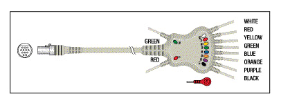 Patient Cable - 10 Lead Fixed Snap     KKB011